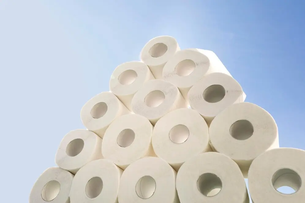 pulp-paper-industry